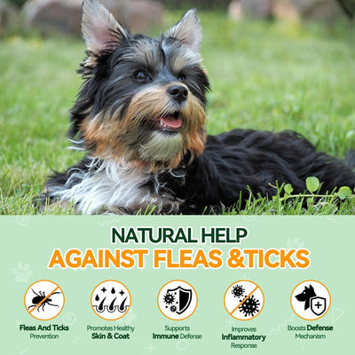 Flea & Tick Chews + Allergy Relief for Dogs - 200 Each - Natural Flea Prevention with Skin & Coat Support + Seasonal Allergy, Itching & Paw Licking Relief - Chicken Flavor