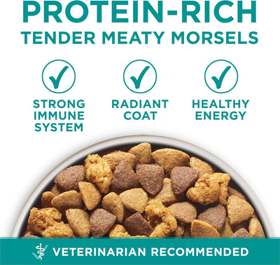 Purina One Plus Digestive Health Formula Dry Dog Food Natural with Added Vitamins, Minerals and Nutrients - 31.1 Lb. Bag