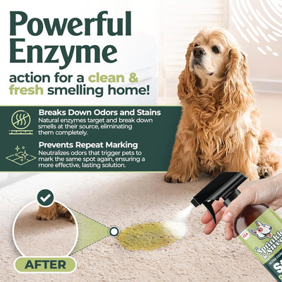 Sprinkle & Sweep Pet Stain and Odor Remover - Super Concentrated Pet Odor Eliminator for Home - No Scrubbing Dog & Cat Urine Enzyme Cleaner Destroyer - Carpet Cleaner for Multiple Surfaces (24 oz)