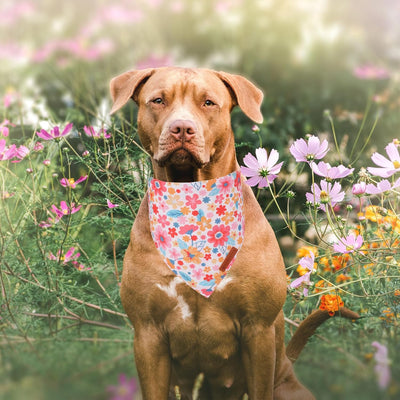 ADOGGYGO Floral Dog Bandana 2 Pack, Reversible Pink Daisy Pet Scarf Bib, Adjustable Fit Cute Flower Bandanas for Medium Large Dogs Pets (Large)