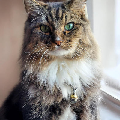 Handmade in USA, Extra Loud Collar Bell for Cats and Dogs, Premium Brass and Nickel Silver