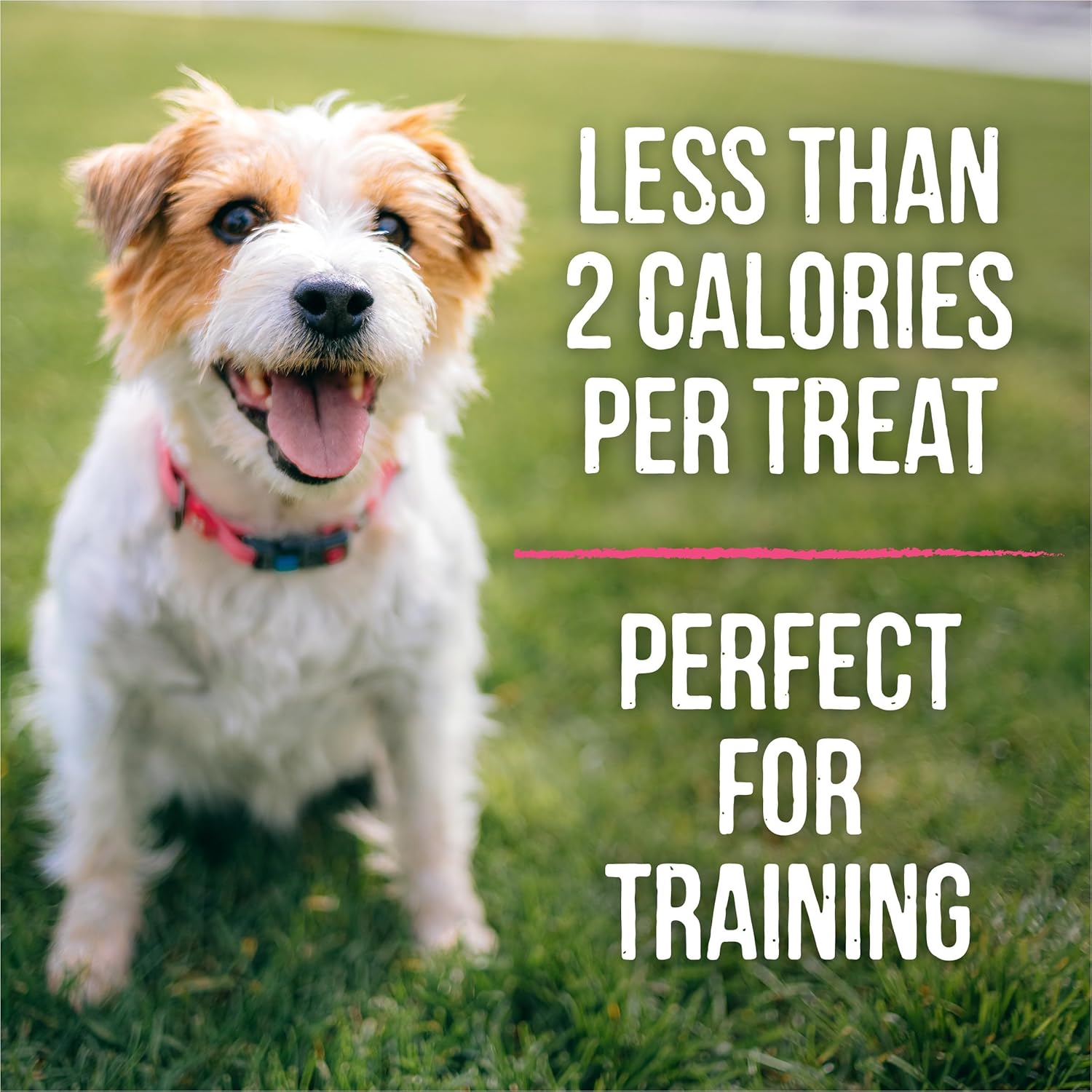 Merrick Lil’ Plates Grain Free Small Dog Treats, Natural Training Treats For Small Dogs, Bitty Beef Recipe - 5 oz. Pouch