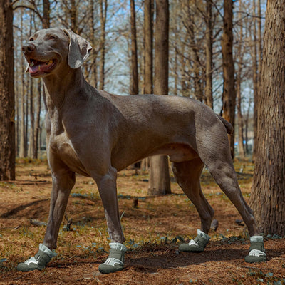 Dog Shoes, Waterproof Dog Booties Paw Protector for Hot Pavement, Snowy Day, Outdoor Walking Skip-Proof Dog Shoes Green 2.5in L