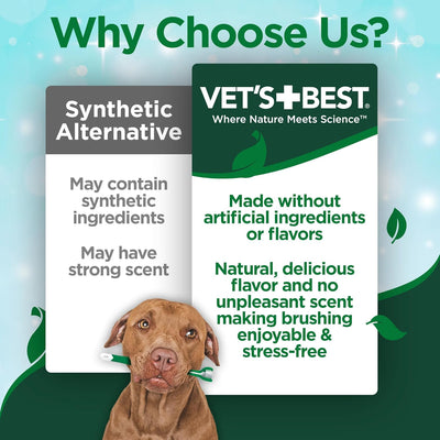Vet's Best Enzymatic Dog Toothpaste – Vet Formulated Dental Gel for Teeth Cleaning, Fresh Breath, Tartar Control, Plaque Remover & Oral Hygiene for Dogs, 3.5 oz