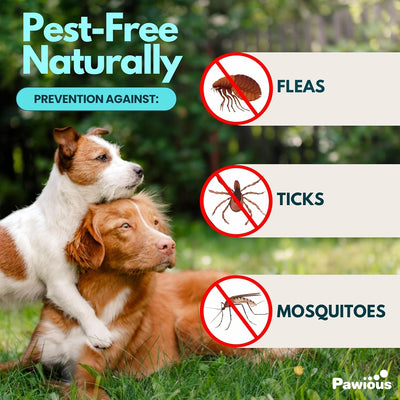 Flea and Tick Prevention for Dogs Chewables - Natural Dog Flea and Tick Control Supplement - Flea & Tick Chews for Dogs - All Life Stages - Made in USA