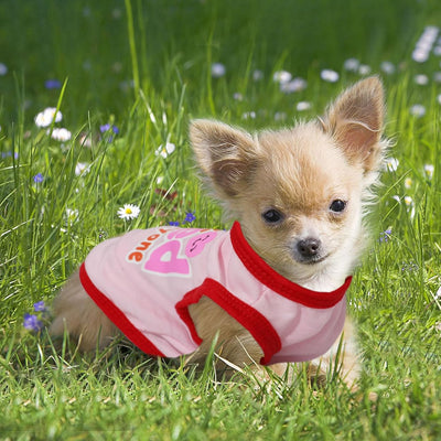 4 Pieces Dog Clothes for Small Dogs Girl Chihuahua Clothes Cute Pink Puppy Shirts Soft Small Puppy Shirts Shih Tzu Clothe Teacup Dog Costume Pet Cat Outfit Clothing for Xs