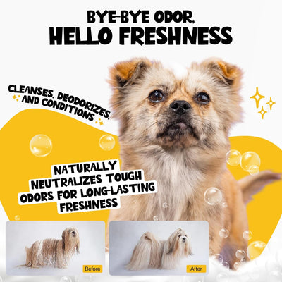 Odor Guard Pet Shampoo 1 Pack - Coconut Kisses Dog Shampoo for Conditioner, Moisturizing & Itching - Hypoallergenic Shampoo for Hydrating & Cleansing