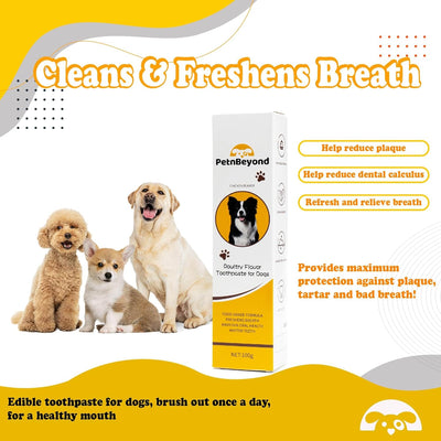 PetnBeyond Dog Toothpaste - Poultry Flavor Teeth Brushing Cleaner, Pet Breath Freshener, Oral Care, Professional Pet Toothpaste for Dogs and Cats. Controls Plaque, Tartar, Bad Breath, Reduces Plaque