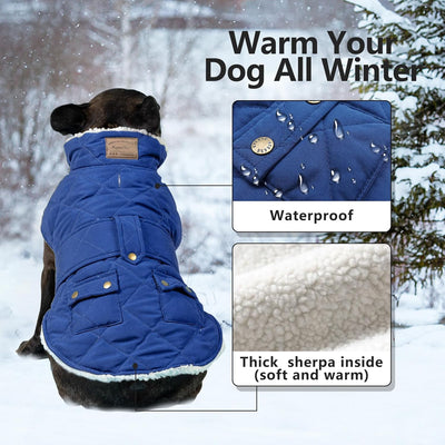 KYEESE Dog Coats Cozy Dogs Jacket Winter Windproof Padded Sherpa Warm Pet Winter Coat for Small Dogs with Furry Collar Dog Clothes, Blue,M