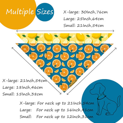 Cute Fruit Dog Bandanas 2 Pack, 4 Patterns Watermelon Lemon Orange Melon, Summer Dog Bibs for Large and XL Breed, Reversible Boy and Girl Pet Scarf（Small）