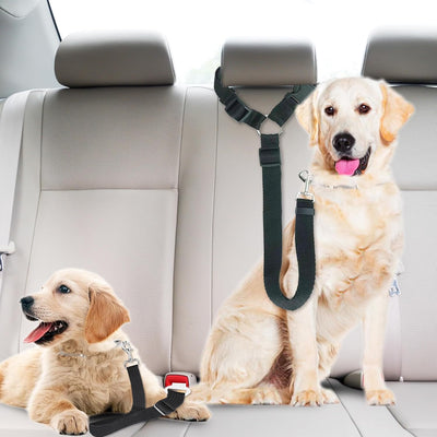 SunGrow Dog Seatbelt & Leash, Universal Vehicle Seatbelt Harness for Car Headrest, Pet Travel Essential, Adjustable Lead, Black Nylon, 19”-31” & 14-19” x 17-30”, 2 Pcs. Per Pack
