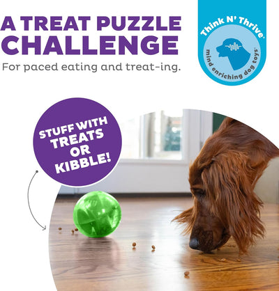 Outward Hound by Planet Dog Mazee Puzzle Ball Interactive Treat Dispensing Dog Toy, Green