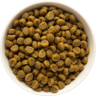 Zuke’s Mini Naturals Dog Training Treats for Dogs, Pet Treats Made with Real Chicken, 16 oz