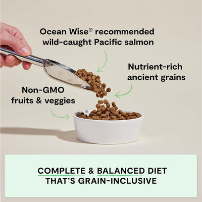Open Farm, Ancient Grains Dry Dog Food, Protein-Rich & Nutrient Dense, 90% Animal Protein Mixed with Non-GMO Fruits, Veggies and Superfoods, Wild Caugh Salmon Recipe, 4lb Bag