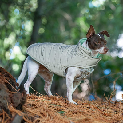 Furhaven Water-Repellent & Reversible XS Dog Coat, Washable & Reflective w/ Leash Access, Pocket, & Carry-On Purse - Puffer Dog Jacket - Mint, Extra Small
