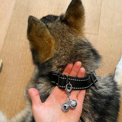 4 Sets Katzenglocke für Hundehalsband, Charm-Training, Haustier-Anhänger, Zubehör mit 2 Edelstahl-Erkennungsmarken-Clips (2 x XS, Silber)
