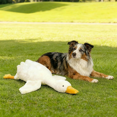 Large Plush White Duck Dog Toy, Realistic Goose Design Dolls Suitable for Dogs Chew and Play, Best Indoor Puppies and Senior Pups (50cm 19.69inch)