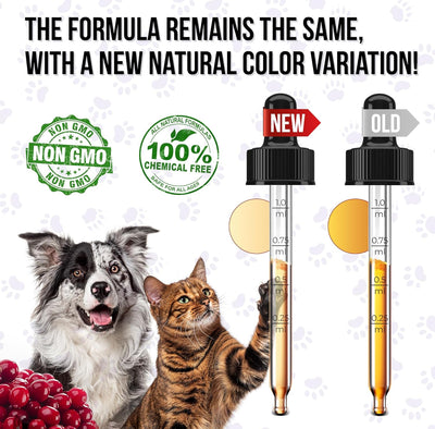 Liquid Multivitamin for Dogs – Daily Glucosamine, Vitamin B, C & D3 Support – Cat Vitamins for Indoor Cats to Care for Joints & HIPS, Skin & Coat, and Gut – Help with Allergies & UTIs – 2 Oz