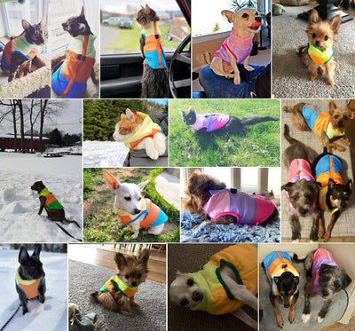 Idepet Pet Dog Cat Coat with Leash Anchor Color Patchwork Padded Puppy Vest Jacket Teddy Chihuahua Costumes Pug Cloth XS S M L (Small, Rose Red)