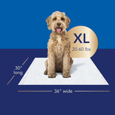 Scott Pet Guard Advanced Dog Pads - Training for Puppies, Medium & Large Dogs - 16 Hour Absorbency with Odor Control - Softest Quilted Pee Pads - XL - 30" x 36" - 20 Pack