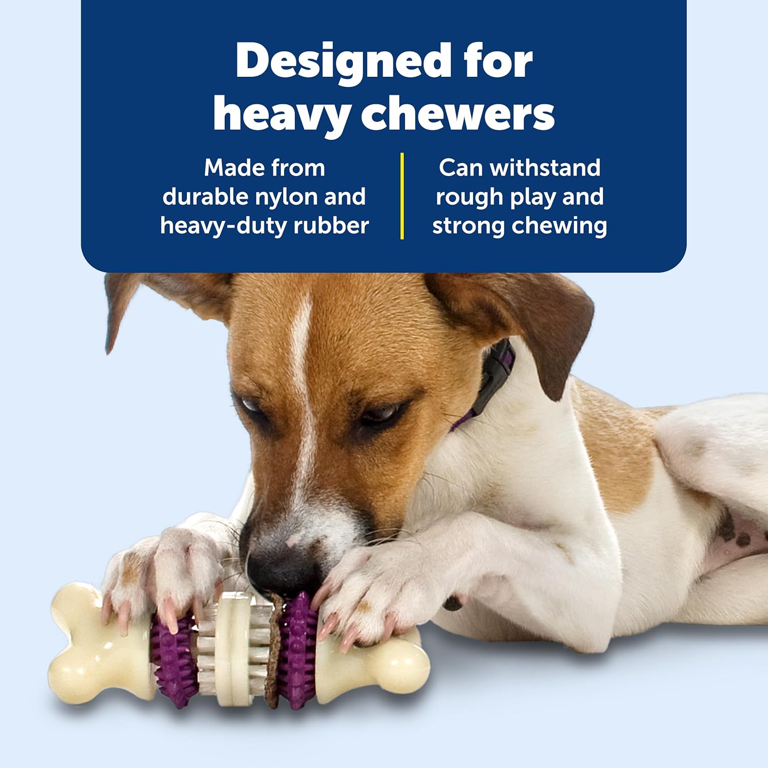 PetSafe® Busy Buddy® Bristle Bone®, Medium, Helps Keep Your Dog's Teeth Clean, Long-Lasting Playtime