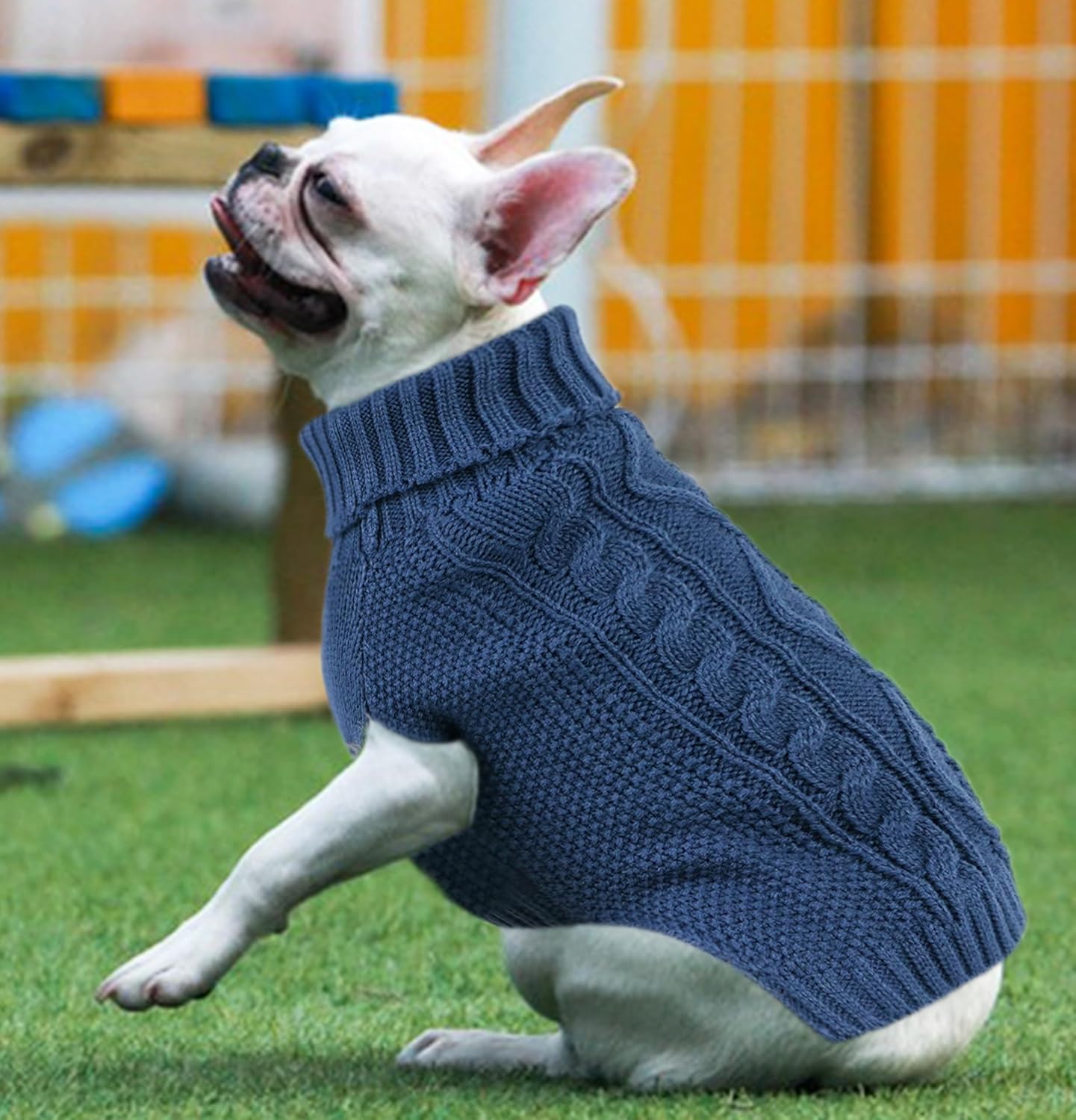 Dog Sweaters for Small Dogs XS Dog Sweater Winter Dog Clothes Boy Chihuahua Yorkie Sweater Warm Pet Clothes Knitted Solid Puppy Sweater Cat Sweater Doggy Turtleneck for Cold Weather (Blue, X-Small)