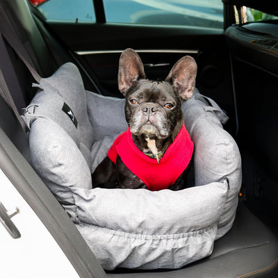 JACKO & CO - Premium Medium Dog Car Seat Bed for Dogs 25-40lbs for Back Seat Use Only - Portable Soft Cloudlike Pet Travel Safety Bed - Machine Washable & Water Resistant (Grey/Medium (25-40lbs)