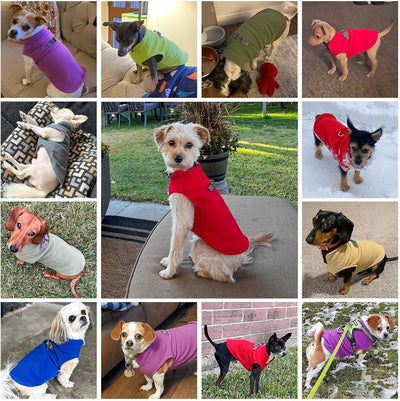 BEAUTYZOO Dog Fleece Vest Sweater Winter Jacket for Small and Medium Dogs with D-Ring Leash Cold Weather Coat Hoodie for XS S M Dogs Boy or Girls