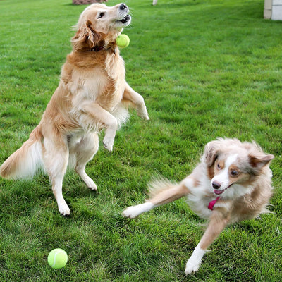 Dog Tennis Balls 12 Pack - Squeaky Interactive Dog Ball Toys for Training, Exercise, Indoor Outdoor Play - 2.5" Rubber Pet Balls for Small, Medium, Large Dogs