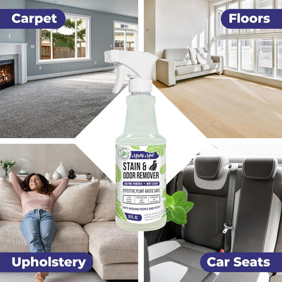 Mighty Mint Removedor de manchas y olores, el aerosol enzimático natural neutraliza de forma segura el olor y las manchas de perros, gatos en alfombras, muebles, aroma natural de menta, 16 onzas
