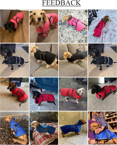 Geyecete Warm Thermal Quilted Dachshund Coat, Dog Winter Coat with Warm Fleece Lining, Outdoor Dog Apparel with Adjustable Bands for Medium, Large Dog-Red-S