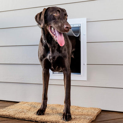 PetSafe Never Rust Wall Entry Pet Door - Telescoping Frame - Insulates Better Than Metal, Energy Efficient - Interior & Exterior Walls, Weatherproof, Easy to Install & Clean (White - Large)
