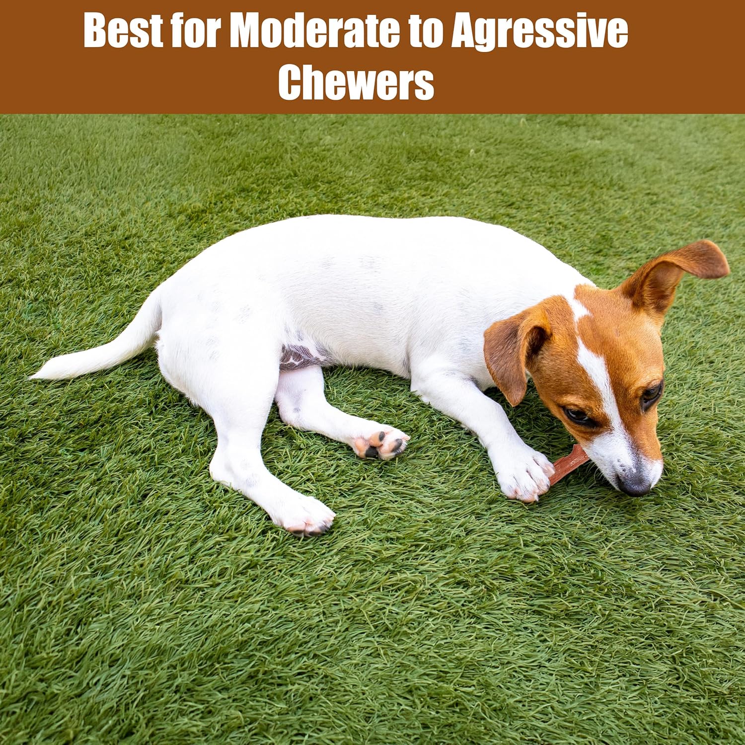 SPOT Bam-Bones Plus Branch -Bamboo Fiber & Nylon, Durable Long Lasting Dog Chew for Aggressive Chewers – Great Toy for Adult Dogs & Teething Puppies Under 60lbs, Non-Splintering, 5.75in, Beef Flavor