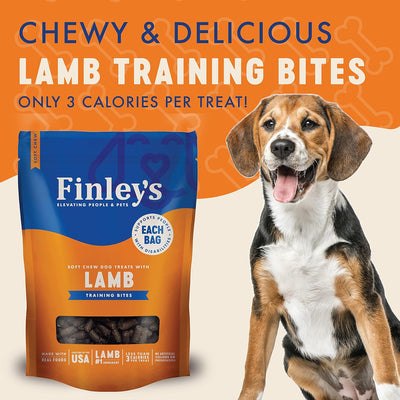 Finley's Lamb Training Bites, Low Calorie, All Natural Soft Chew Dog Treats, 16 Ounce (Pack of 1)