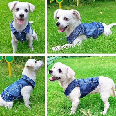 Dog Jean Jacket, Classic Blue Denim Tank Top Lapel Vest Dog Shirt Puppy T-Shirt Costume, Comfort and Cool Apparel, Washed Pet Clothes for Small Medium Dogs Girl Boy Girl, Cute Cat Outfits