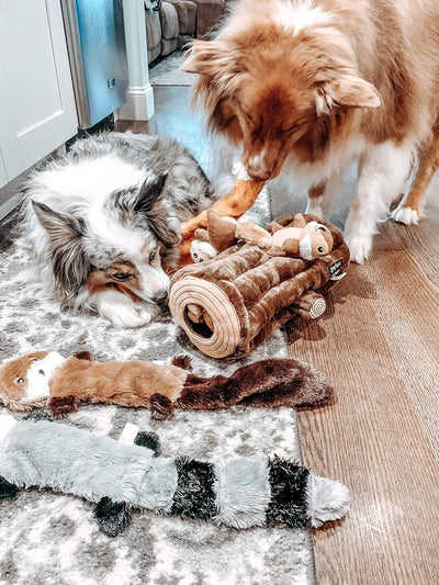ZippyPaws Loopy - No Stuffing Dog Toys to Keep Them Busy, For Small, Medium, & Large Dogs, Squeaky Pet Toy for Boredom, Unstuffed Chew Toy, Soft Plush Variety Pack, Fox, Raccoon, and Squirrel - 18"